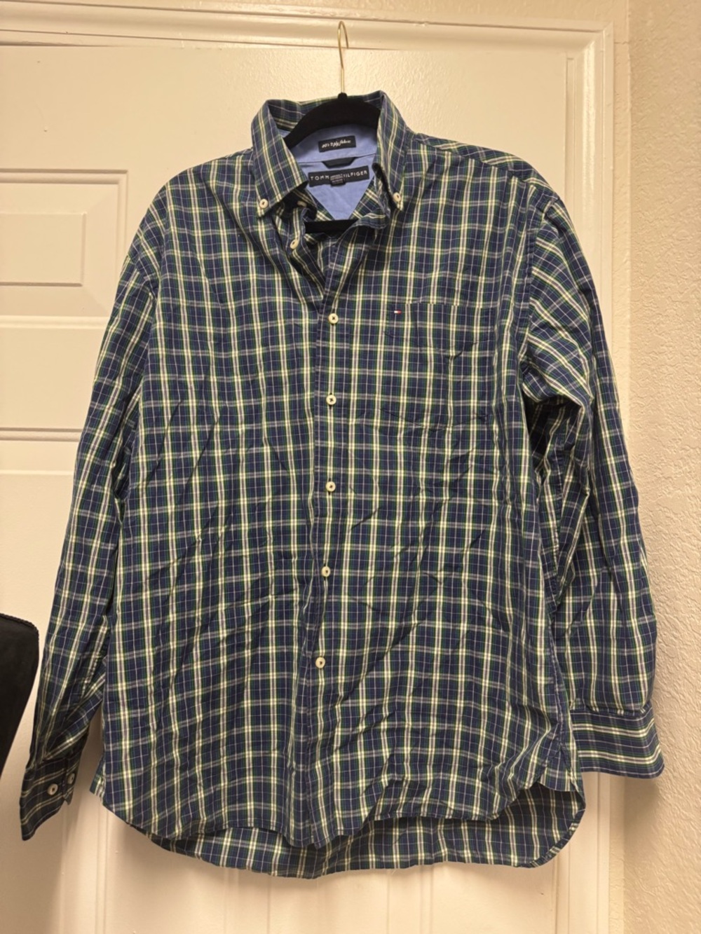Tommy Hilfiger Blue & Green Plaid Long-Sleeve Button-Down Shirt